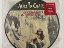 Alice In Chains Down In A Hole 7