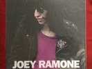 JOEY RAMONE LP “A Closer Look” RARE TRACKS PUNK The Ramones Johnny Dee Dee Marky