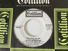 VELVET UNDERGROUND - WHO LOVES THE SUN, COTILLION 45-44107, WLP 45 RPM, RARE