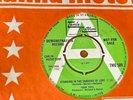 THE FOUR TOPS . Standing in the shadows/Since you've been gone . TMG 589 .