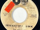 THE MIRACLES You've Really Got a Hold On Me Tamla Motown Promo 45 HEAR