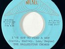 HALLELUIAH CHORUS I've Got to Find a Way Nickel Sweet Soul Funk VG+ 45 HEAR