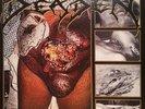 Deaden-Hymns Of The Sick Vinyl LP, Carcass,Asphyx,Cannibal Corpse,Devourment