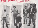 THE UNDERTONES TEENAGE KICKS 1980 PUNK  7