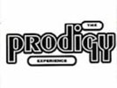 The Prodigy - Experience - Double Vinyl LP [New & Sealed]