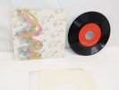 45 rpm Record Flipper Brainwash/Sex Bomb