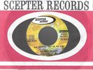 BEVERLY BREMERS-HEAVEN HELP US ALL-SCEPTER DJ STEREO 45-MINT