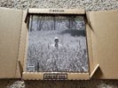 Taylor Swift Folklore In The Weeds Limited Edition Deluxe Vinyl LP NEW SEALED