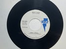 Linda Lyndell - What A Man/I Don't Know - Volt 45 VG++ NORTHERN SOUL