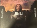 Aly & AJ Joan of Arc on the Dance Floor Attack of Panic Vinyl Record Single