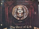 Stephen Raga Marley .... The Fruit Of Life Revelation Part 2 , 3 Vinyl  Lp's.