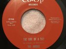 THE BRIDGE - The Life Of A Day / A Beautiful Day 45 Rpm CO-OP 519 psych Unplayed