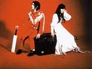 The white Stripes elephant. As New