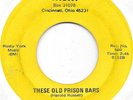 BILLY, BOBBY AND THE RUSSELL BROS These Old Prison Bars bluegrass bopper 45 HEAR