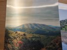Dirty Projectors & Bjork - Mount Wittenberg Orca 2011 3D Ltd Edition