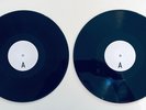 TREES - THE GARDEN OF JANE DELAWNEY - 2008 WHITE LABEL TEST PRESSING - EX+