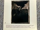 Pixies - Surfer Rosa Vinyl 1988 Original Press VG/VG+