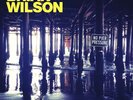 NEW Brian WILSON 2x Lp  NO PIER PRESSURE 180g VINYL GATEFOLD beach boys surf