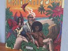 crimeapple vinyl If I Don't See You In Paradise