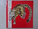 Yasuaki Shimizu Kakashi Better Days YF-7061-BD Japan promo VINYL LP OBI