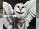 Deftones 