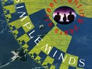 Simple Minds Street Fighting Years (Vinyl) 2LP