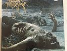 CATTLE DECAPITATION – THE ANTHROPOCENE EXTINCTION - BLUE GREEN VINYL LP NEW - 15