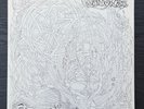 Windy and Carl - Drawing of Sound - Vinyl LP - 1997 - Limited Edition 2nd Press