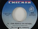 Faithful Wonders 