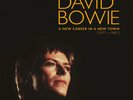 David Bowie - A New Career In A New Town Vinyl Box Set [Audio Vinyl]