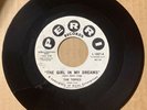 Topics with Frankie Valli 1962 DOO WOP 45 The Girl In My Dreams PERRI Mint HEAR