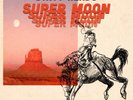 Dirty Heads Super Moon  Explicit Lyrics (Vinyl)