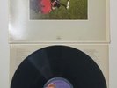 RUSH - SIGNALS 1982 VINYL LP SRM-1-4063 VTG NM VINYL