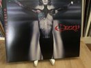 12inch Ozzy Osbourne Vinyl LP  Down To Earth