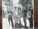 Paul Ray & The Cobras - Other Days 45 Record Stevie Ray Vaughan SRV Record RARE