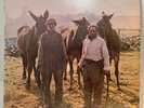 OZARK MOUNTAIN DAREDEVILS - Men From Earth (A&M) - 12