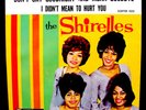 THE SHIRELLES-Don't Say Goodnight And Mean Goodbye-Picture Sleeve-SCEPTER 1255