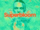 Ashton Irwin Superbloom [LP] [Coke Bottle Clear] Records & LPs New