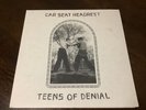 Teens Of Denial by Car Seat Headrest (Record, 2016) Double LP Vinyl Black