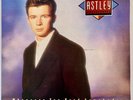 Rick Astley -Whenever You Need Somebody LP 12