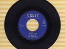 The Gee Cees Buzz Saw Annie Had A Party Crest 45 Record ROCKABILLY