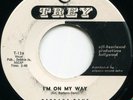 BARBARA DANE*I'M ON MY WAY*DEMO*VG*LISTEN