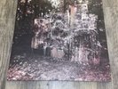 Wildlife by La Dispute (Vinyl, Oct-2011, 2 Discs, No Sleep Records) Clear Vinyl