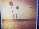 Come Around Sundown by Kings of Leon (Record, 2010) 2 Vinyl Records Included-NEW