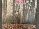 Twink-Think Pink  2013 Reissue
