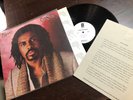 EDWIN BIRDSONG SELF TITLED LP RARE PROMO NM COLA BOTTLE BABY DAFT PUNK ROY AYERS