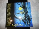 Iron Maiden - Fear Of The Dark ( Vinyl )