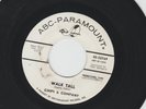 GARAGE bw TEEN 45  -CHIPS & COMPANY - ACE OF SPADES - HEAR-  1966 PROMO ABC