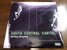 SOUTH CENTRAL CARTEL - ALL DAY EVERYDAY 2XLP RARE 1997 US DEF JAM PROMO, G-FUNK