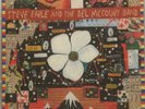 Steve Earle And The Del McCoury Band - The Mountain, 2017, EX/NM